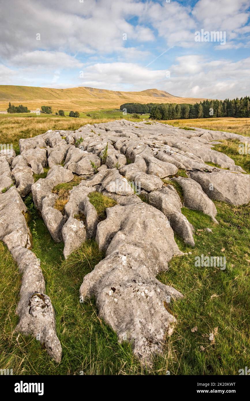 Whernside is the highest mountain out of Yorkshire's 'Three Peaks' and is close to Chapel le dale in the Yorkshire Dales National Park. Stock Photo