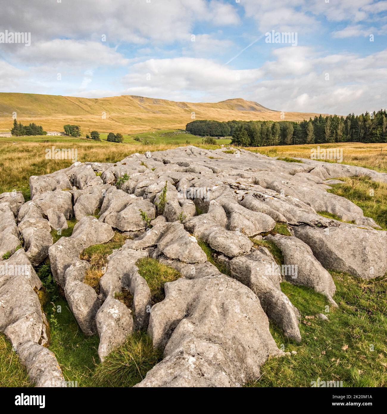 Whernside is the highest mountain out of Yorkshire's 'Three Peaks' and is close to Chapel le dale in the Yorkshire Dales National Park. Stock Photo