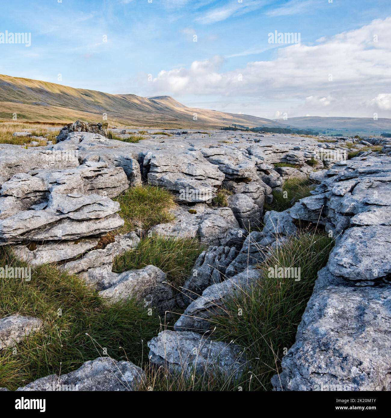 Whernside is the highest mountain out of Yorkshire's 'Three Peaks' and is close to Chapel le dale in the Yorkshire Dales National Park. Stock Photo