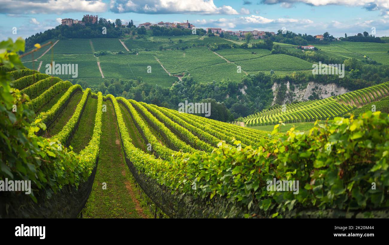 Langhe vineyards panorama, near Barolo, Unesco Site, Piedmont, Northern Italy Europe Stock Photo