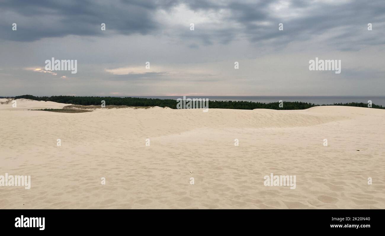 Sand dune on the beach in the National Park in Leba, Poland Stock Photo ...
