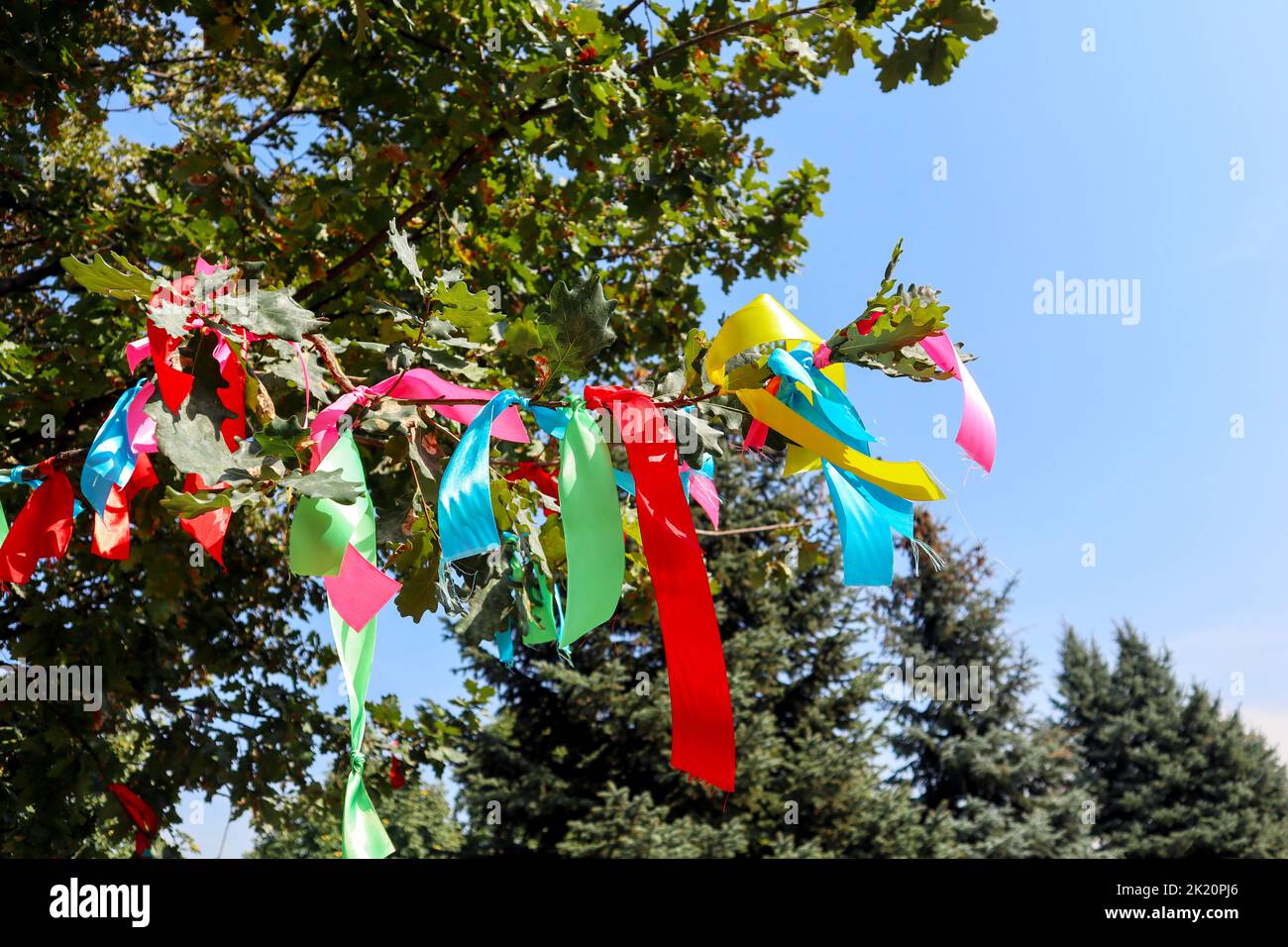 colored ribbons tied to a tree branch. the ritual Stock Photo Alamy
