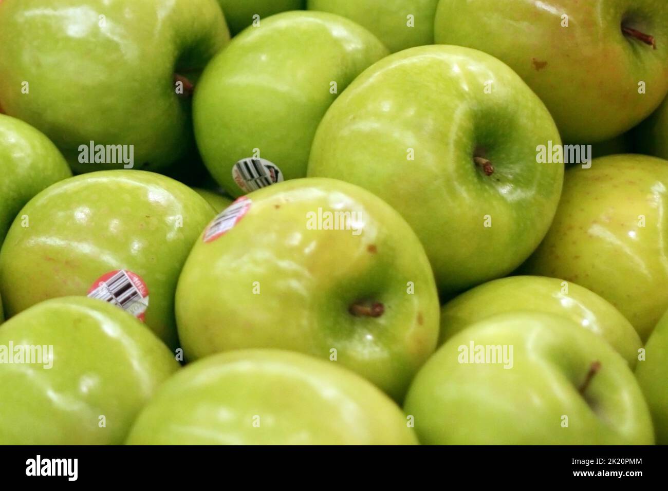 Red and green apple farm Stock Photo
