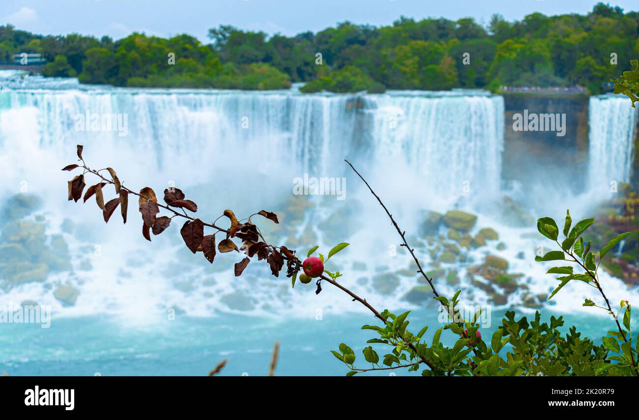 A Scenic view of Niagara falls in long exposure effect flowing on rocks ...