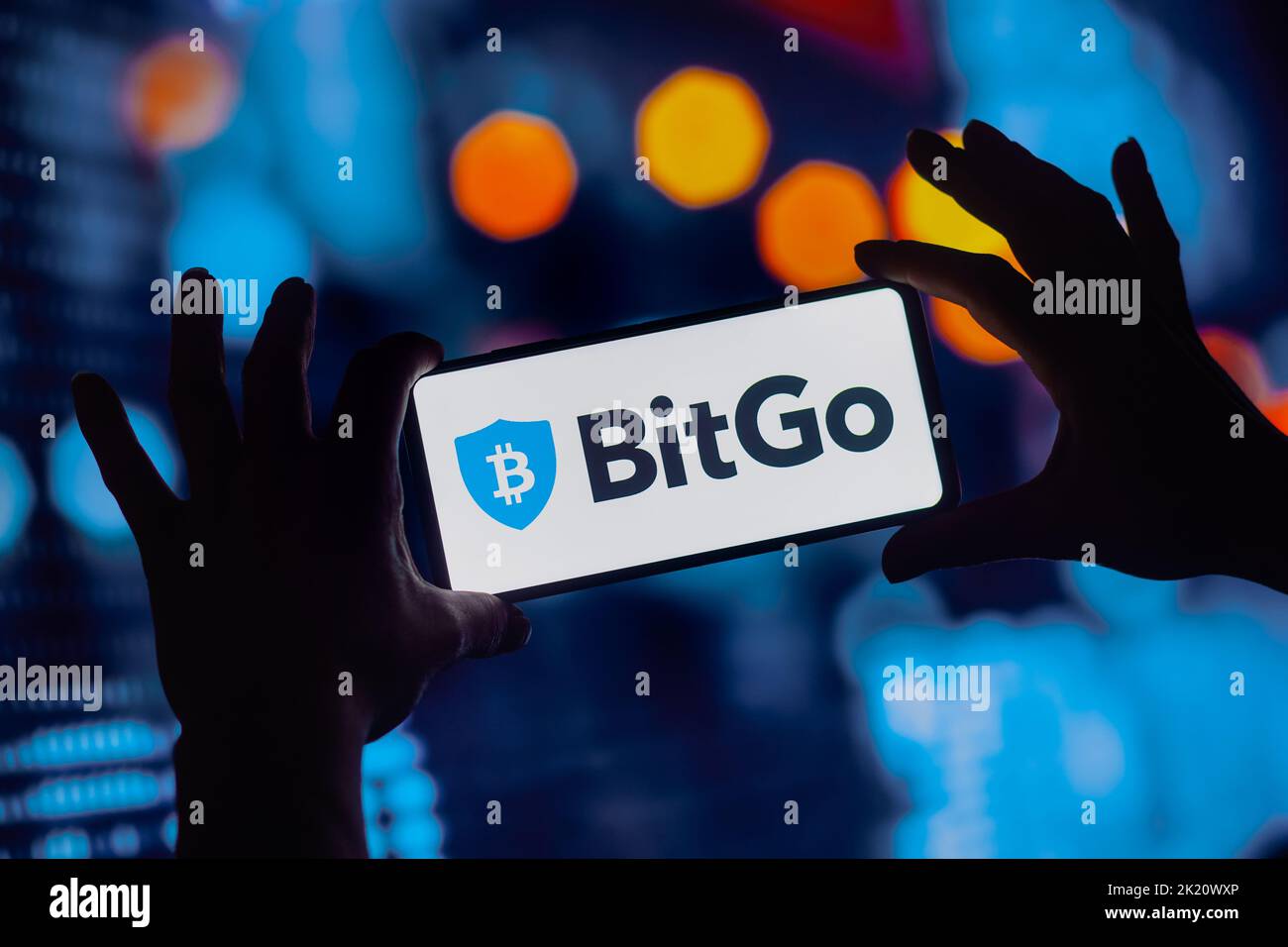 Bitgo Logo