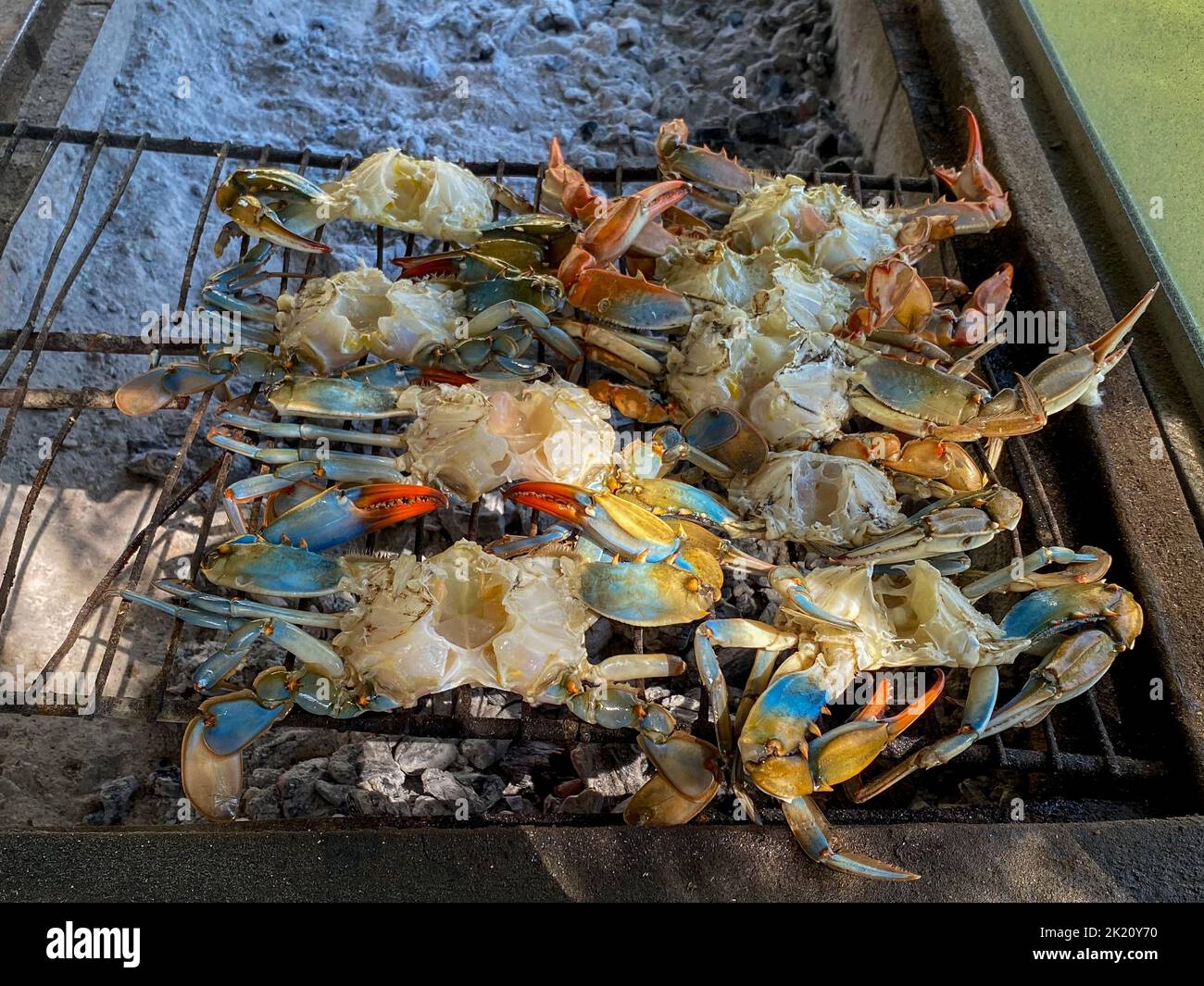Blue crab cooked on the grill. Stock Photo