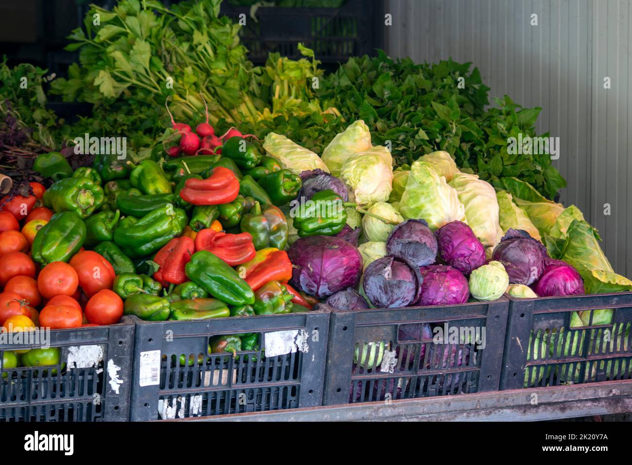 Fresh vegetables with fresh products at market. Healty vegan products. Mercado Apúlia. Restaurant products used to prepare fresh and flavored food. Stock Photo