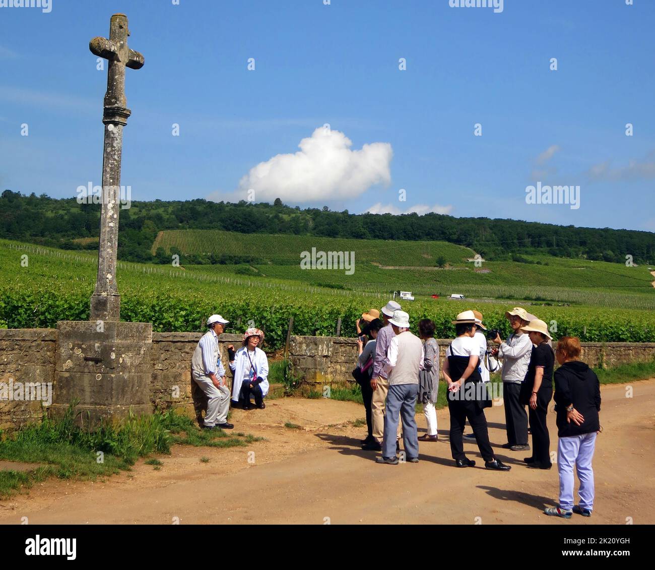 a group of japaneses visitors visiting Romanée Conti vineyards, Vosne-Romanée, Cote d Or, Burgundy, France Stock Photo