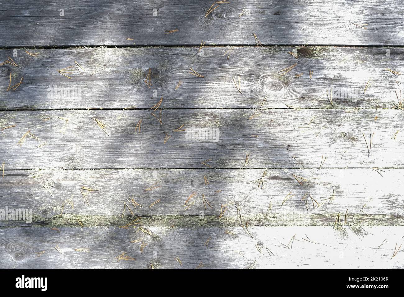 The texture of an old fence with a shadow. Wood texture with horizont lines. The texture of wood with knots and holes. The texture of a tree with moss. Stock Photo