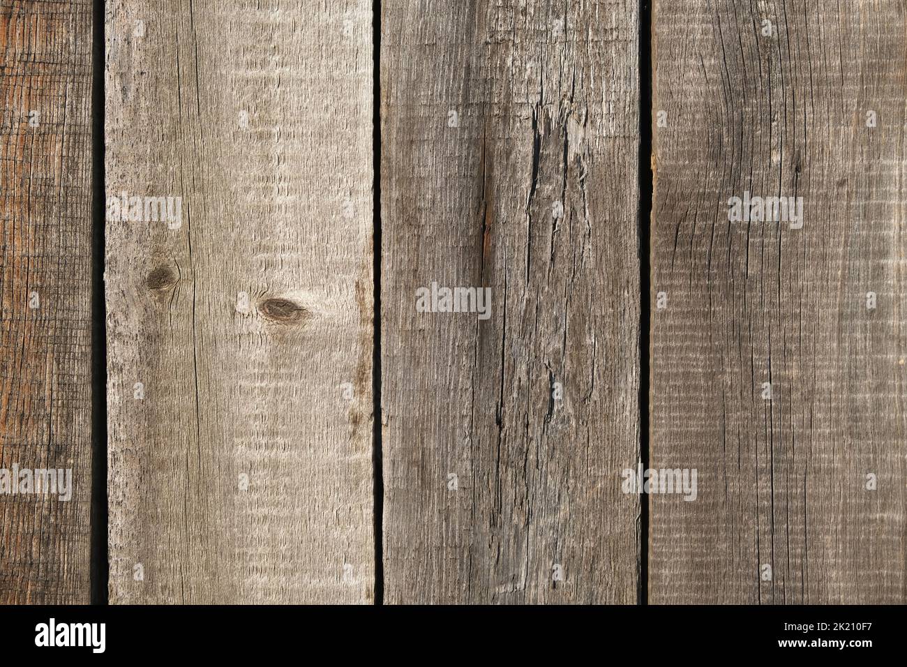 Wooden texture with vertical lines. The texture of wood with knots and holes. The background of a wooden fence damaged by time. The texture of a tree with moss. Stock Photo