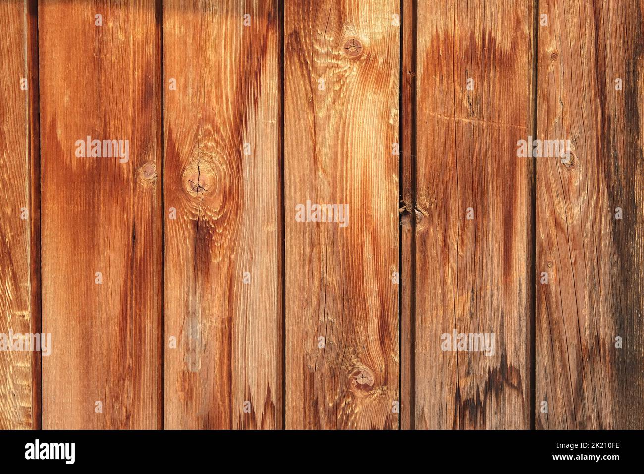Wooden texture with vertical lines. The texture of wood with knots and holes. The background of a wooden fence damaged by time. The texture of a tree with moss. Stock Photo