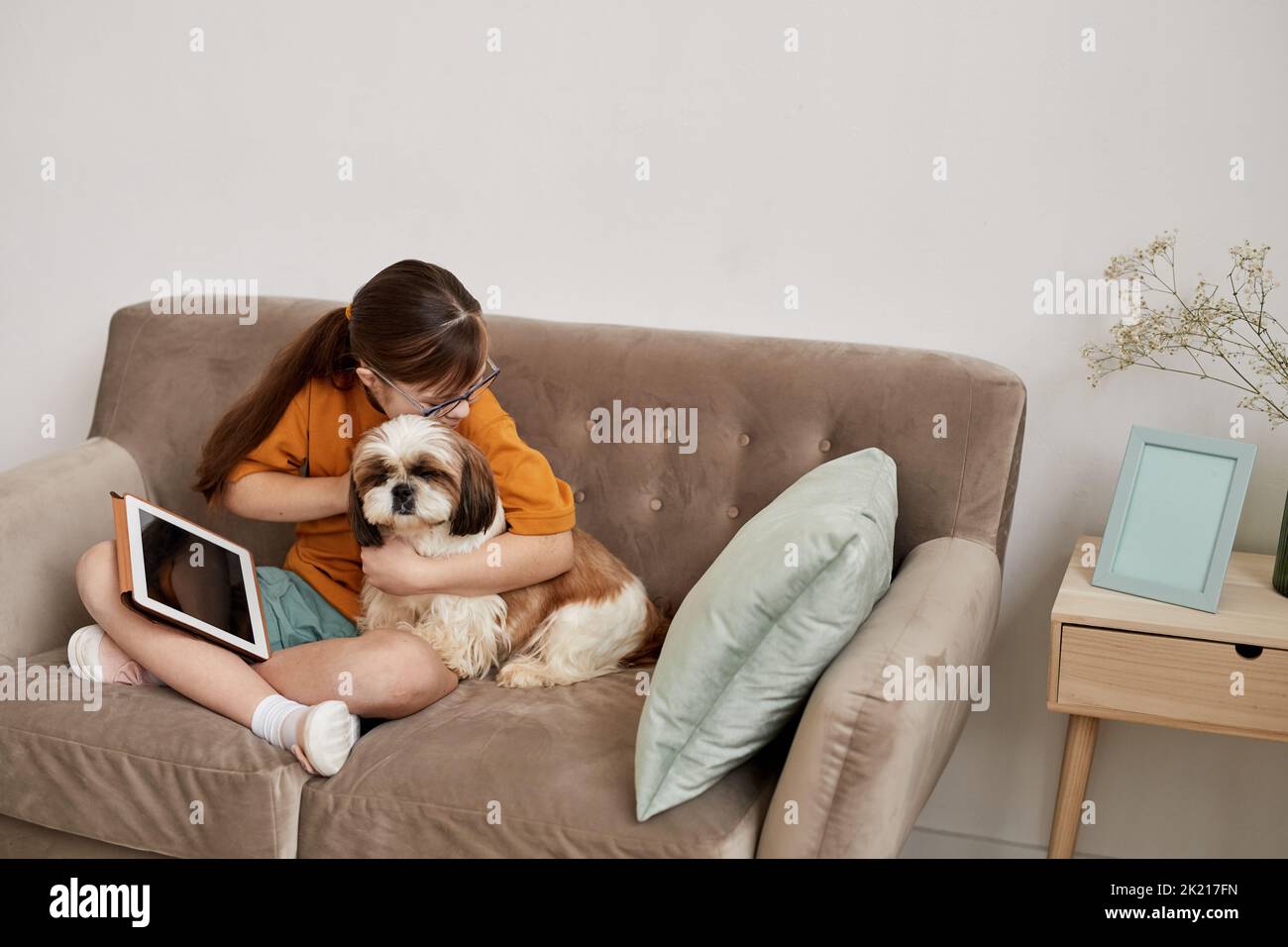 Minimal portrait of teenage girl hugging cute small dog while sitting on couch at home, copy space Stock Photo