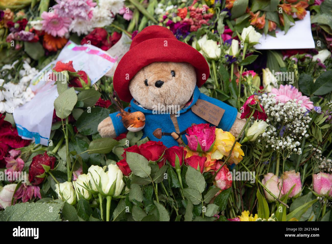 Paddington bears memorial garden hires stock photography and images