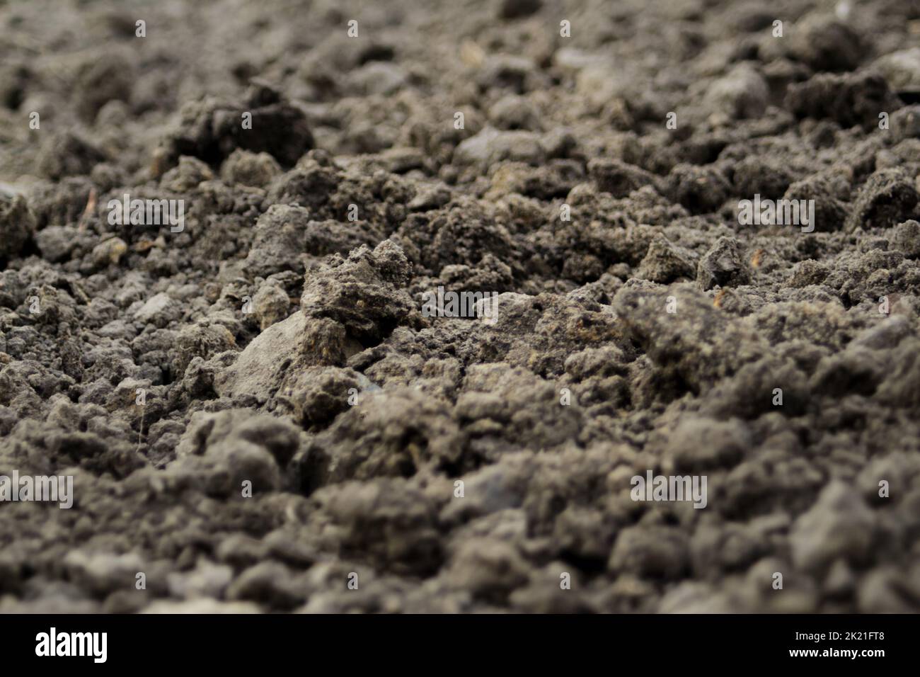 Defocus black land for plant background. Side view. Agriculture concept. Blurred. Out of focus. Stock Photo