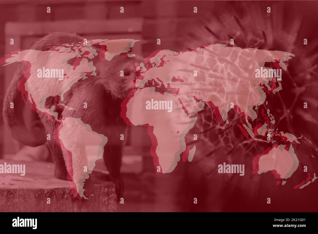 Monkeypox new disease dangerous over the world. Monkeypox virus. Red