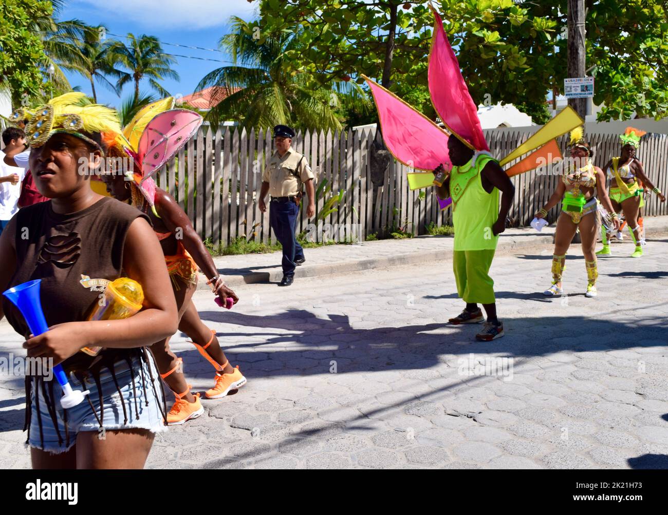 Colorfully costumed carnival goers dancing and having fun in the San