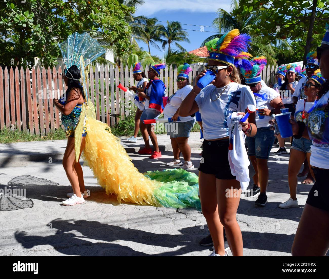 A woman in a butterfly costume and carnival goers in the San Pedro