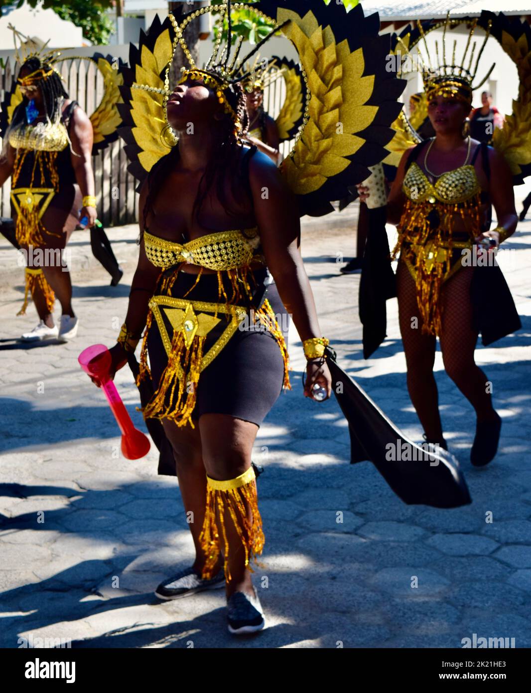 Belizeans wearing shiny, black and yellow, winged costumes in the San