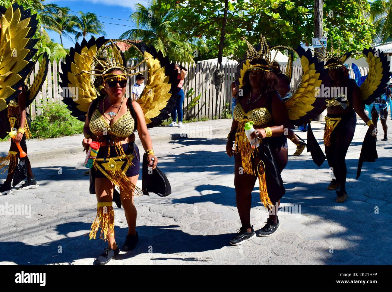 Belizeans wearing shiny, black and yellow, winged costumes in the San