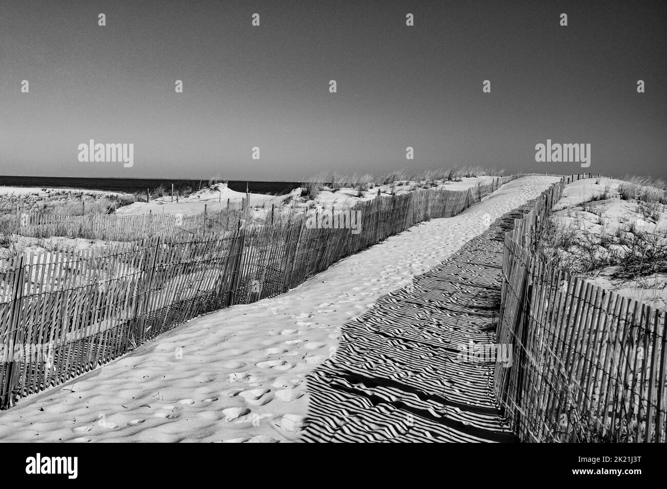 Monochrome Image of the Beach at Cape Henlopen Stata Park, Delaware USA, Lewes, Delaware Stock Photo