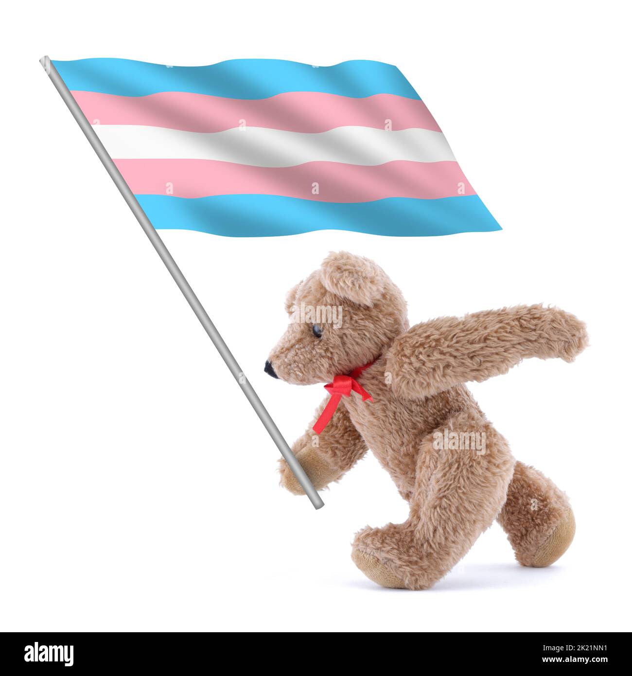 A Transgender flag being carried by a cute teddy bear Stock Photo