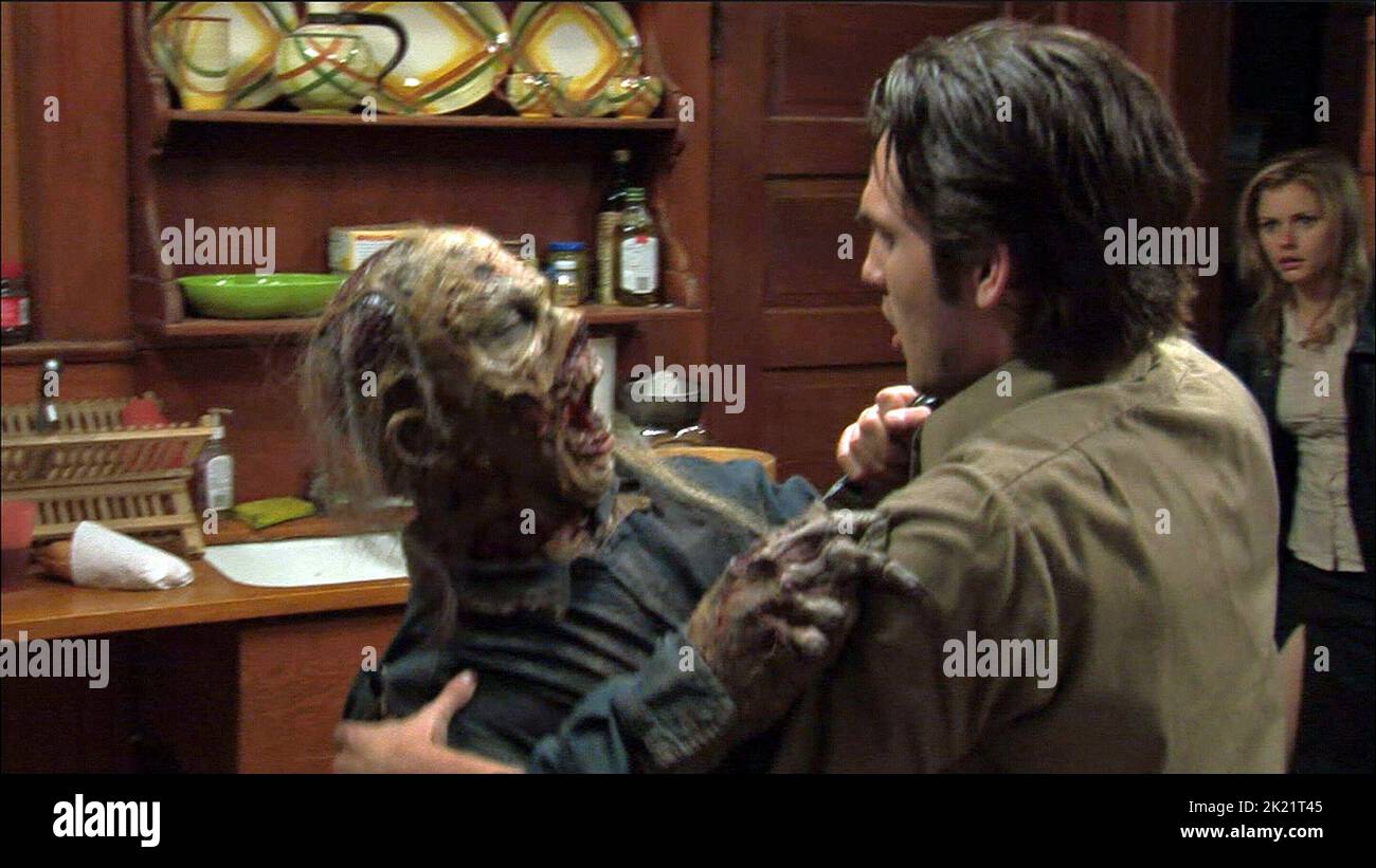 JOSHUA DESROCHES, BRIANNA BROWN, NIGHT OF THE LIVING DEAD 3D, 2006 Stock Photo