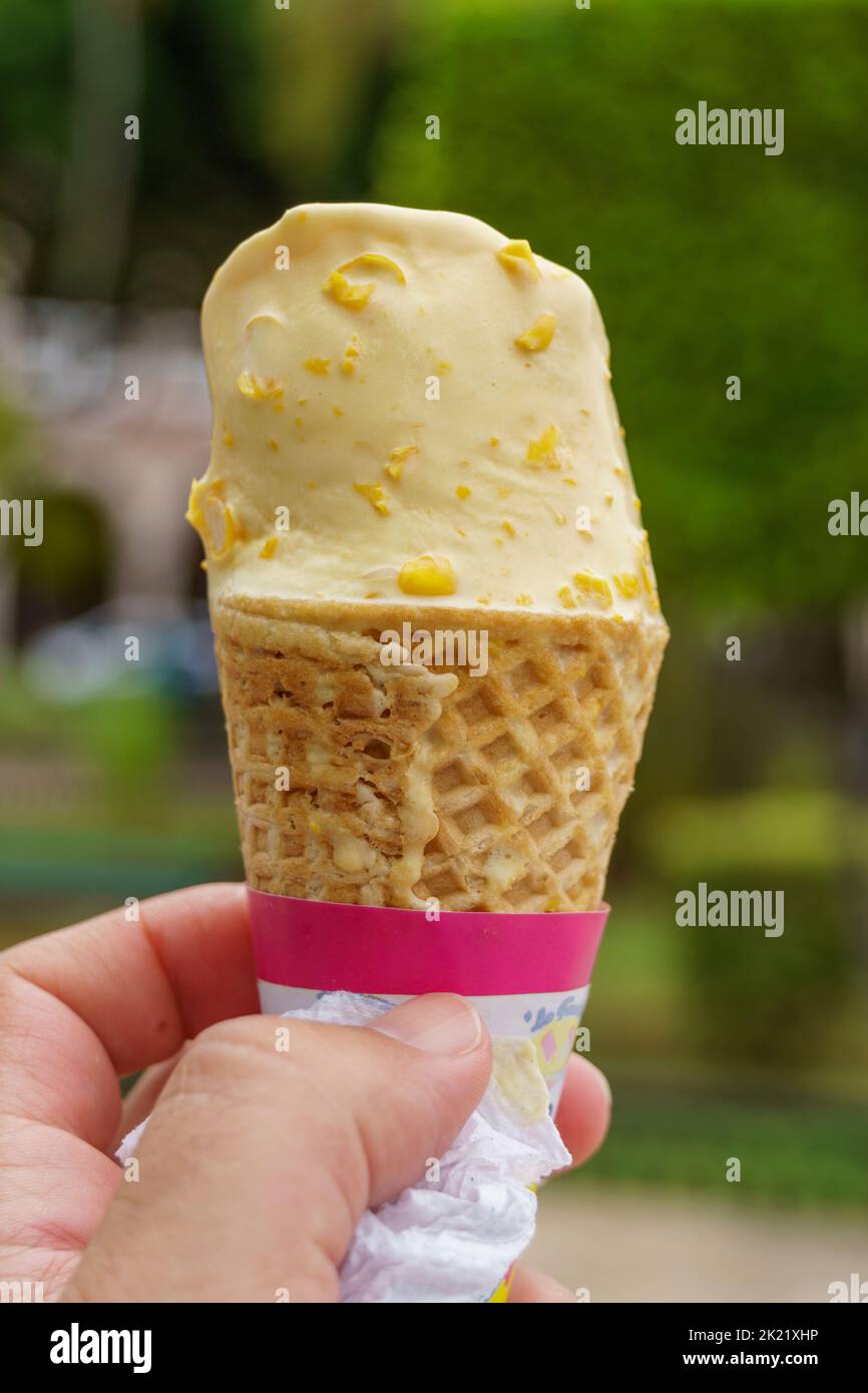 Hello Crazy Ice Cream Neighbor – Apps no Google Play