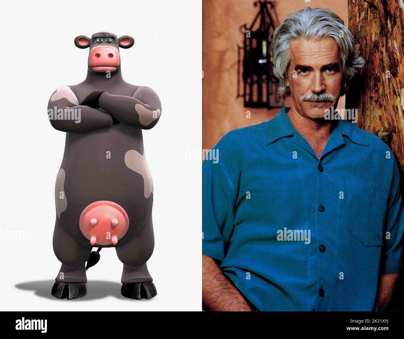 Sam elliott ben cow voice hi-res stock photography and images - Alamy
