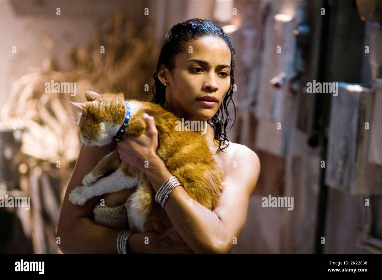 Deja vu paula patton hi-res stock photography and images - Alamy