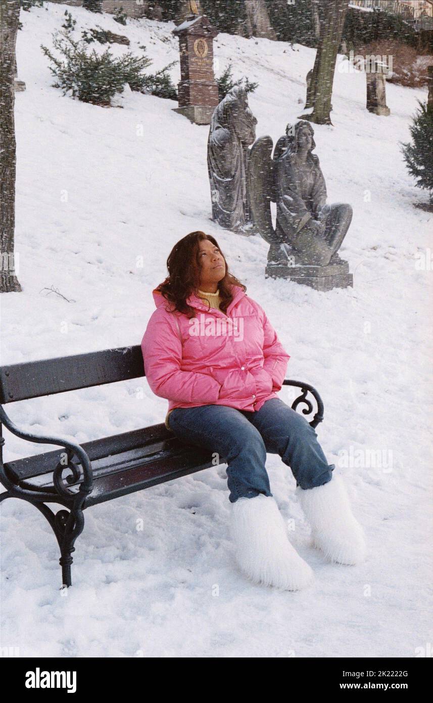 Queen Latifah appearing contemplative in a Last Holiday promotional image