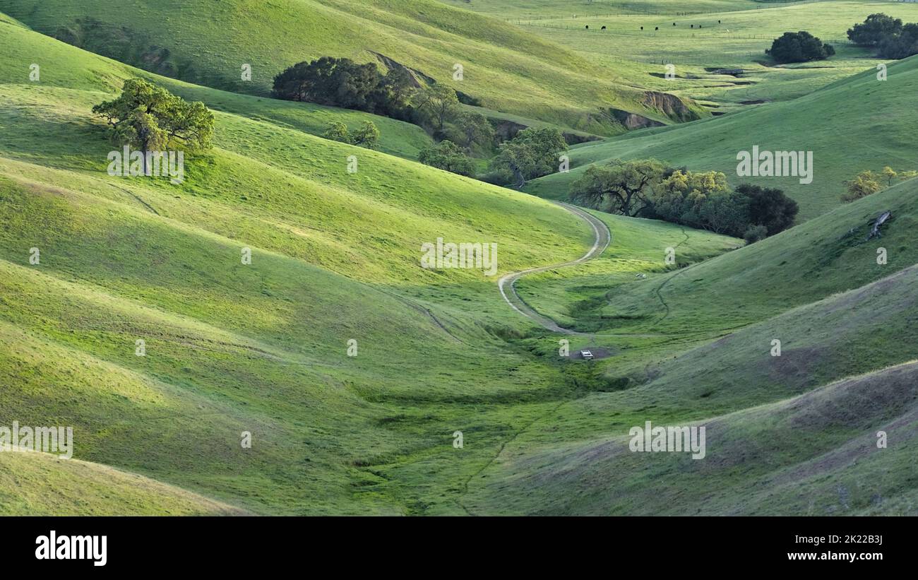 rolling green hills in the afternoon sun light in the California spring Stock Photo