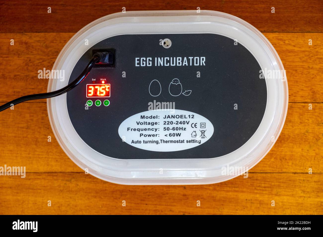 220-240 volt electric incubator with temperature control; and automated egg turning mechanism showing the ideal incubation temperature for chickens of 37.5 degrees Stock Photo