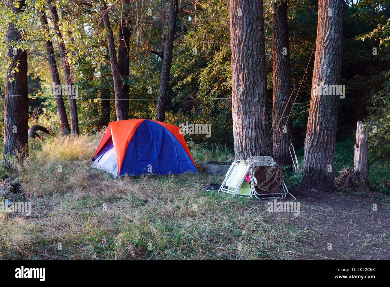 Tourist tent on the background of the forest Stock Photo - Alamy