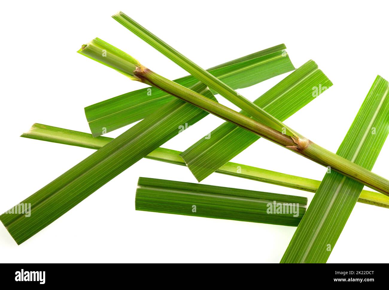 Lemongrass is one of various species of grass, the Cymbopogon citratus, which have a lemon-like taste and aroma, and is used in cooking, for tea, and Stock Photo