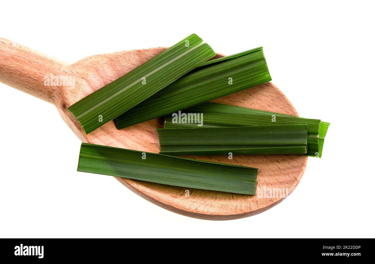 Lemongrass is one of various species of grass, the Cymbopogon citratus, which have a lemon-like taste and aroma, and is used in cooking, for tea, and Stock Photo