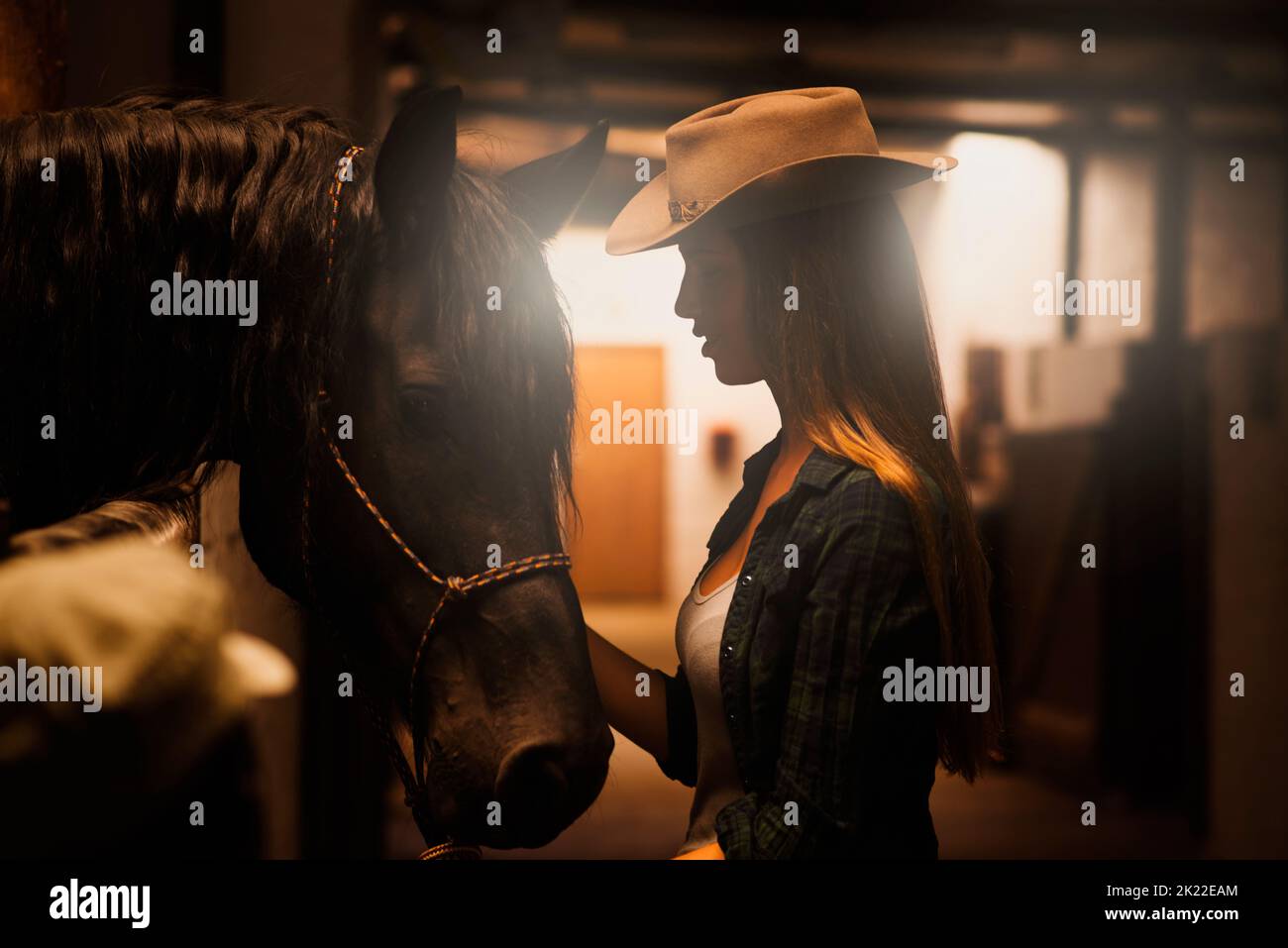 A girls best friend. a young woman tending to her horse in a stable. Stock Photo