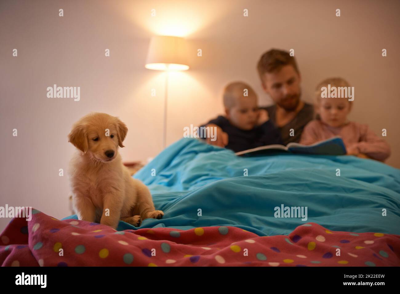 Bedtime for puppy and kids. A father reading a bedtime story to his