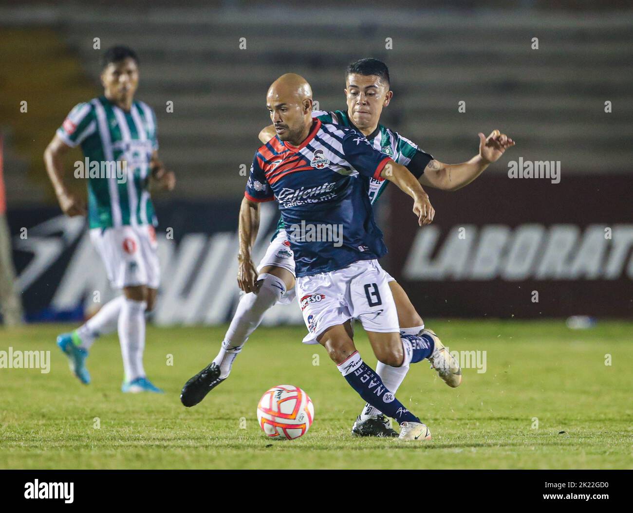 HERMOSILLO MEXICO SEPTIEMBRE 14: Cimarrones de Sonora vs Club Deportivo  Tapatío, during the soccer game as part of the 12th round of the opening  tourn Stock Photo - Alamy