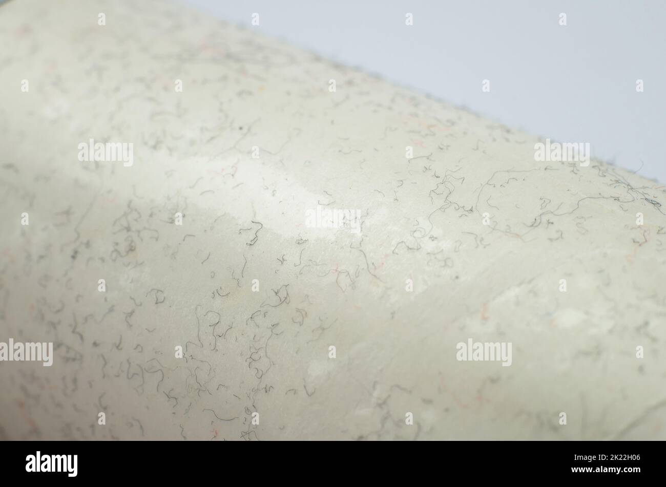 Macro photo of dust and lint on a special sticky surface Stock Photo