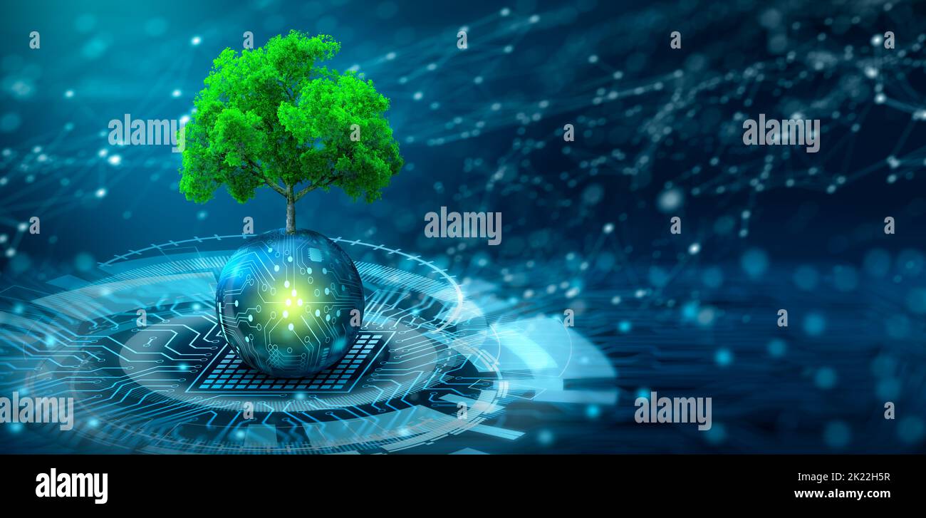 Tree growing on Circuit digital ball. Digital and Technology Convergence. Blue light and Wireframe network background. Green Computing. Stock Photo