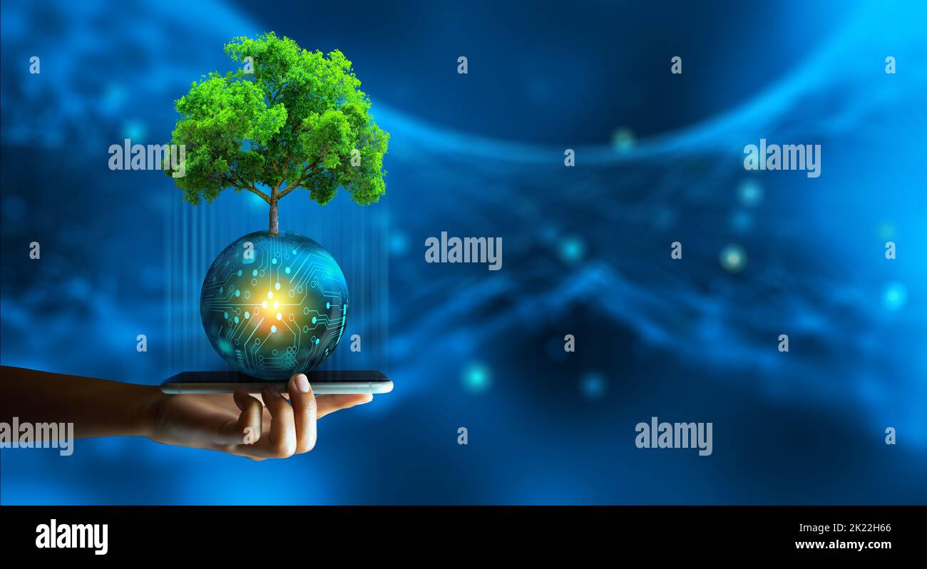 Man hand holding smartphone with Technology Economic. Tree growing on digital ball and abstract background. Green computing, Green IT, csr, IT ethics. Stock Photo