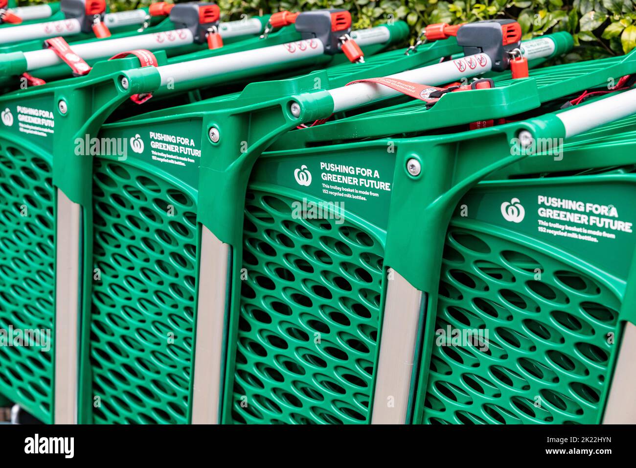 Supermarket trolleys in Sydney Australia made from recycling and