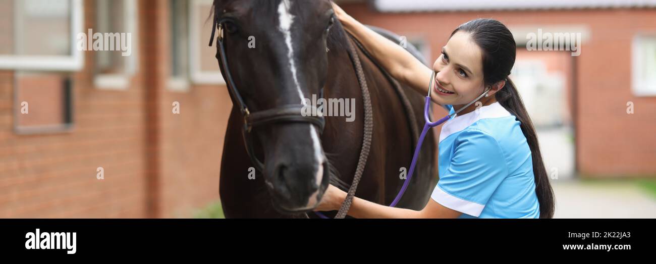 Veterinarian doctor listens with stethoscope to horse on farm Stock