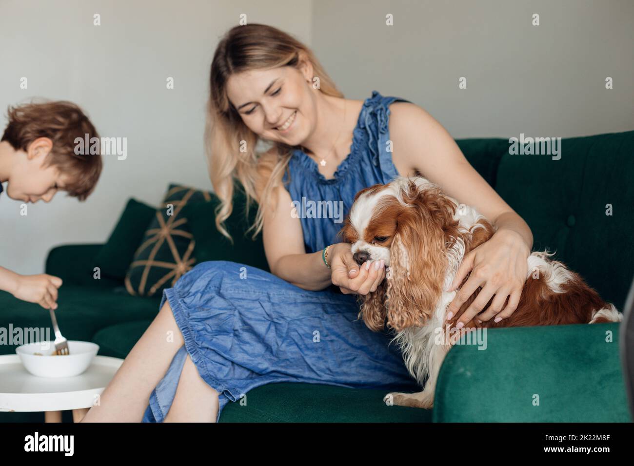 Happy woman in home dress with love feed spotted dog from hand while sitting on green couch in living room. Little boy on background eat food from Stock Photo