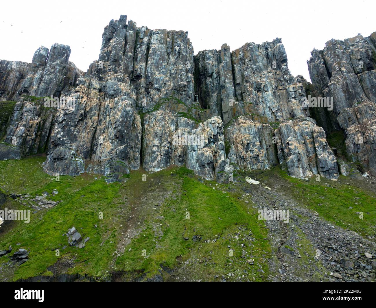 Alkefjellet is the most famous cliff in Spitsbergen archipelago. It is a bird cliff overlooking Hinlopen Fjord. Bizarre rock formation. Svalbard. Stock Photo