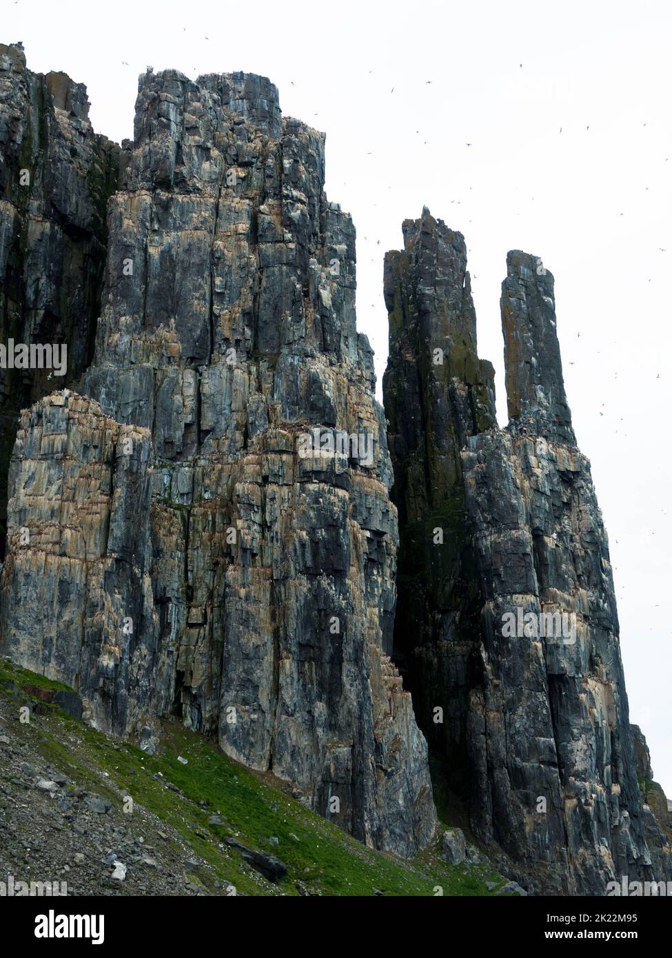 Colony at the rock wall of a fjord hi-res stock photography and images ...