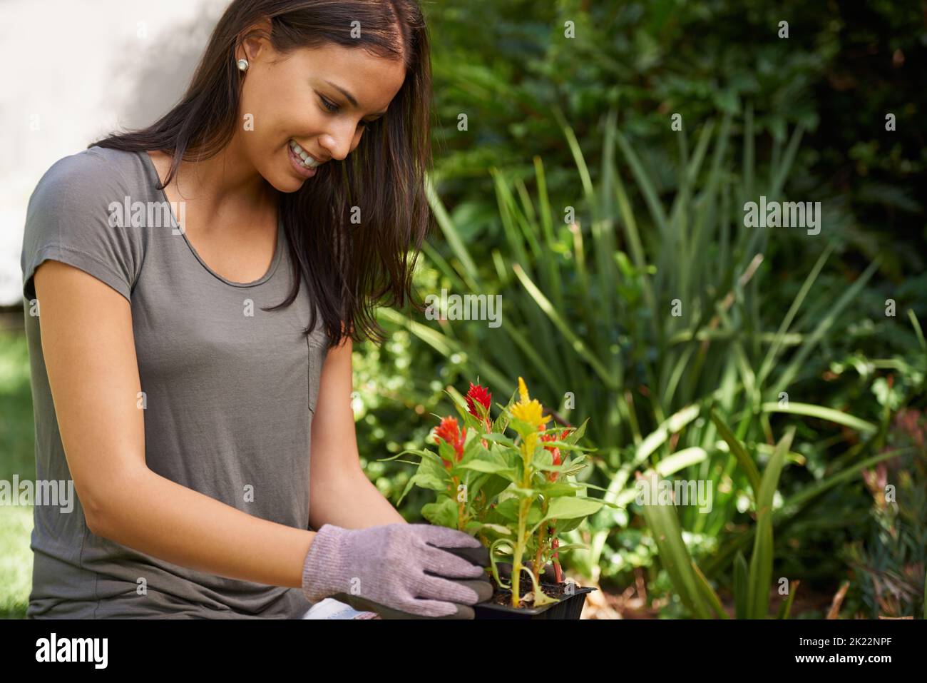 Green finger babe. a woman holding a a pack of seedlings. Stock Photo