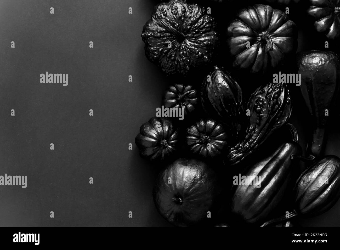 Different Kinds Of Mini Pumpkins In All Black Colour Placed Black premium-photo-colorful-decorative-pumpkins-isolated-on-white