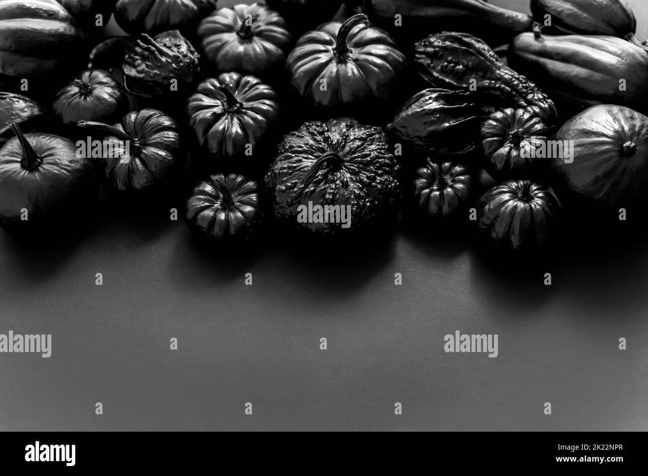 Different Kinds Of Mini Pumpkins In All Black Colour Placed Black different-kinds-of-mini-pumpkins-in-all-black-colour-placed-black