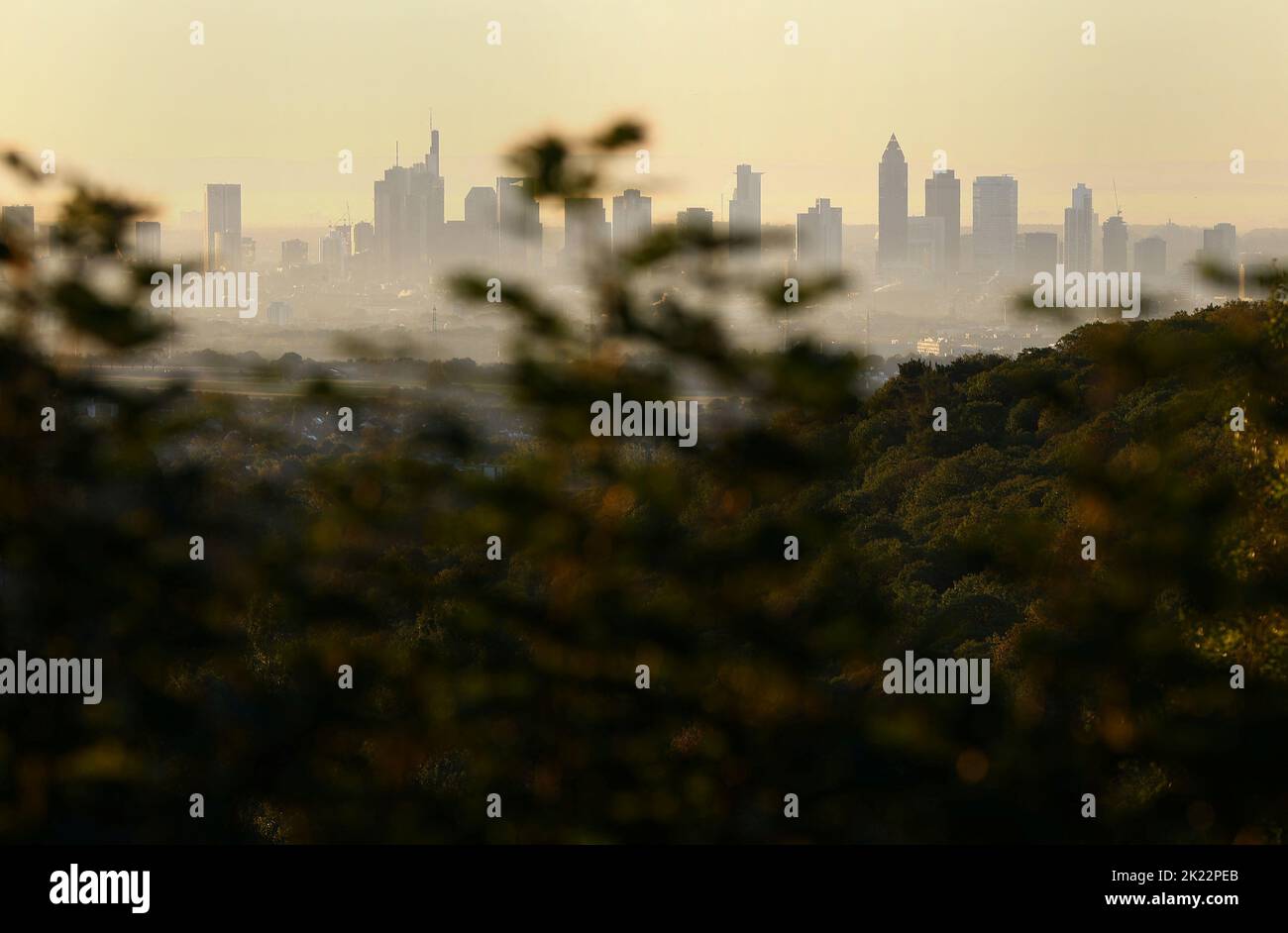 The skyline is seen through early morning fog in Frankfurt, Germany, September 22, 2022.  REUTERS/Kai Pfaffenbach Stock Photo